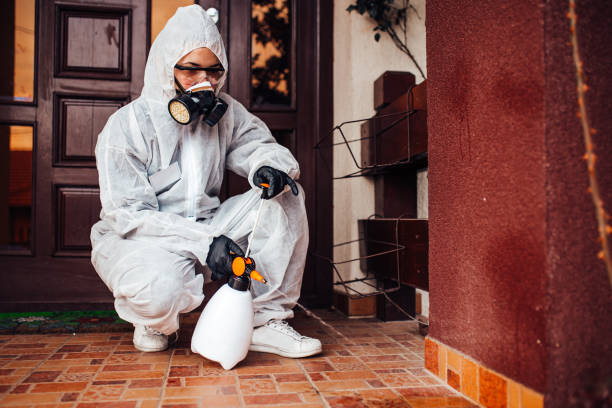 Reliable Cockroach Control contractor in Madison, GA by Nex Pest Control